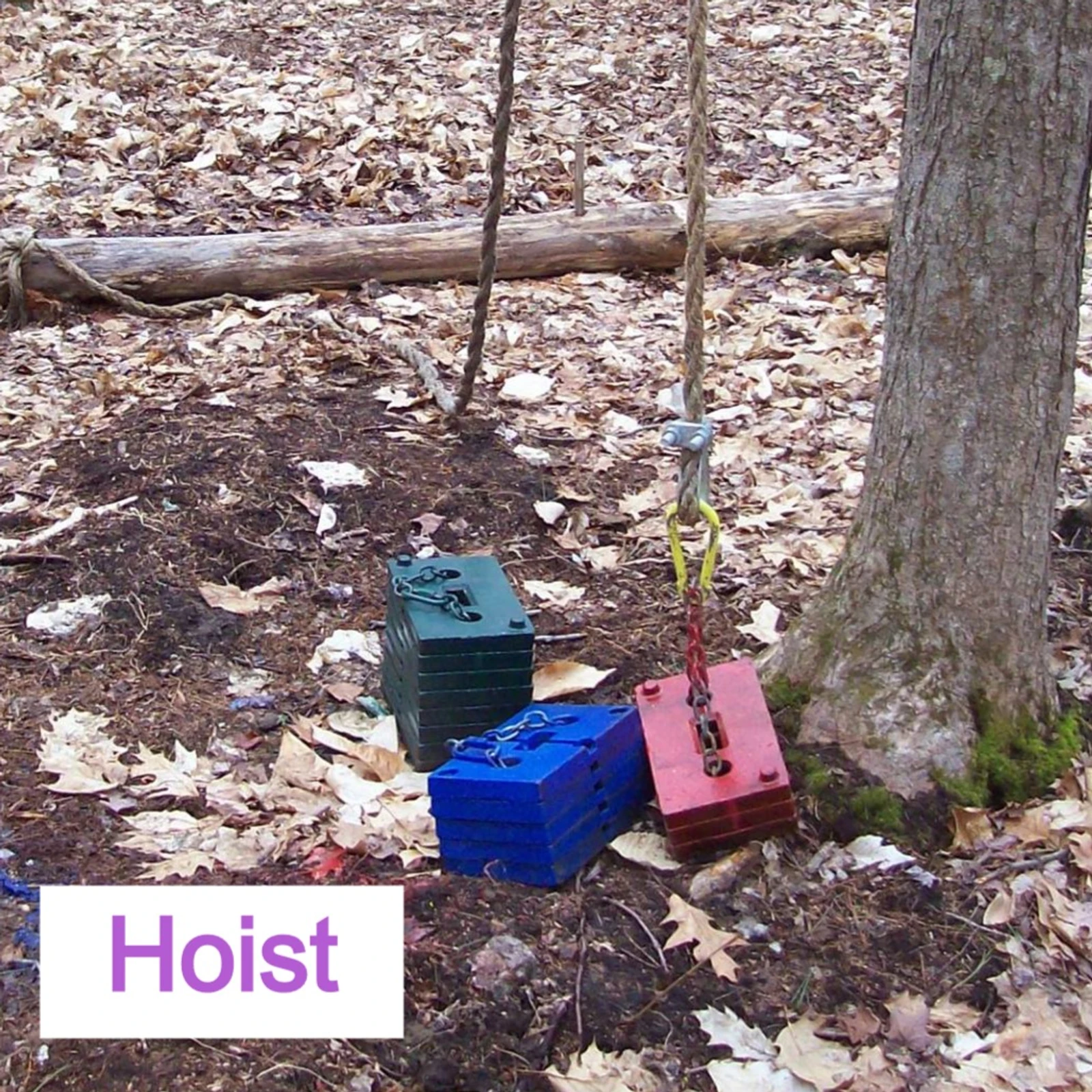 Hoist